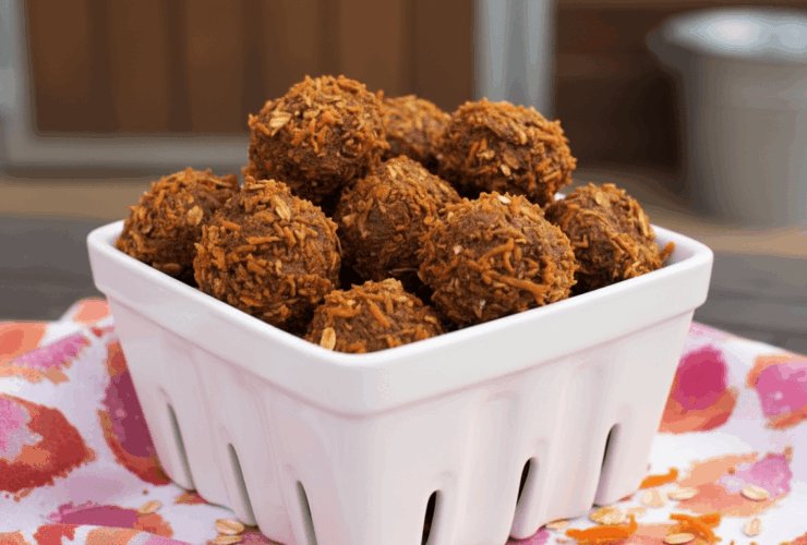 Horse Treats Recipe